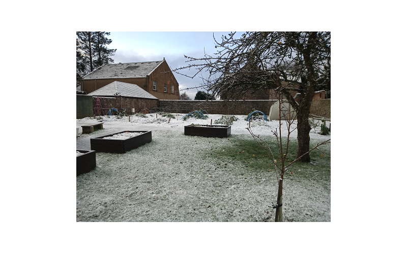 December Frosts December Frosts